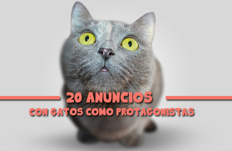 20-anuncios-con-gatos-como-protagonistas