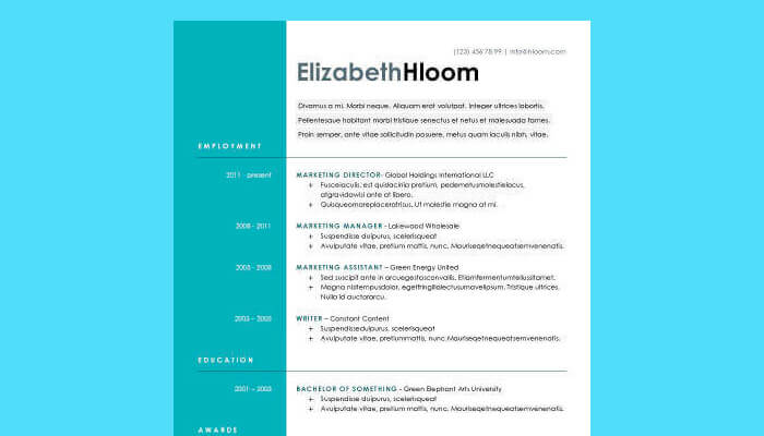 7 Blue Side Resume Template Word