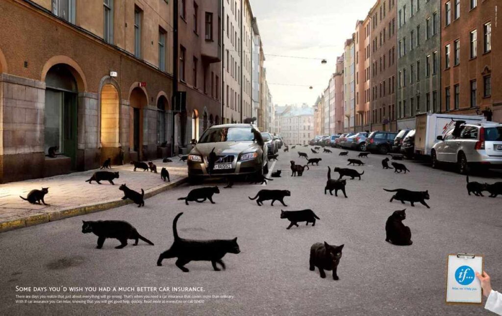 anuncios con gatos como protagonistas 10 - mclanfranconi