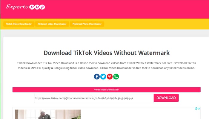 descargar videos gratis de Tik Tok - Expertsphp tik tok downloader